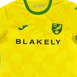 Norwich City F.C. Domicile 24/25