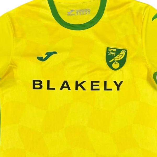 Norwich City F.C. Domicile 24/25