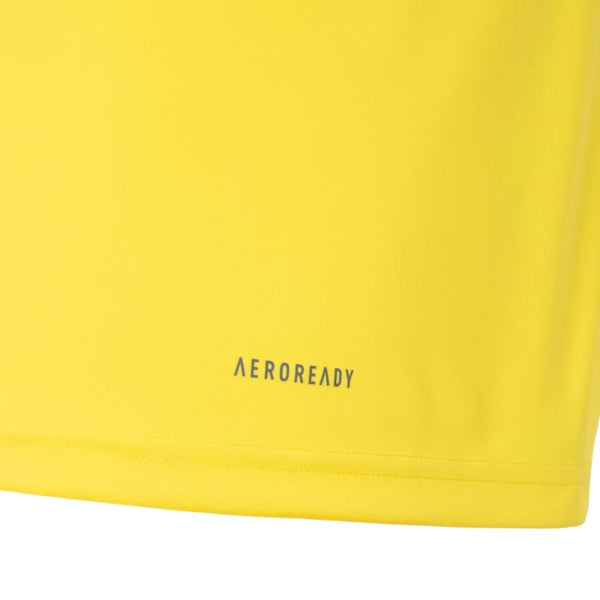 Flamengo Entraînement 24/25