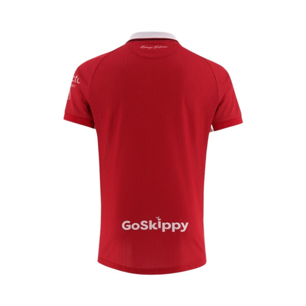 Bristol City Domicile 25/26