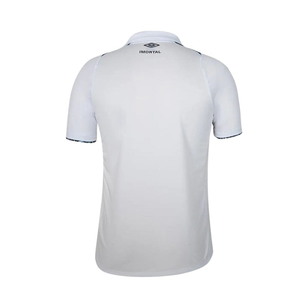 Grêmio Alternative 24/25