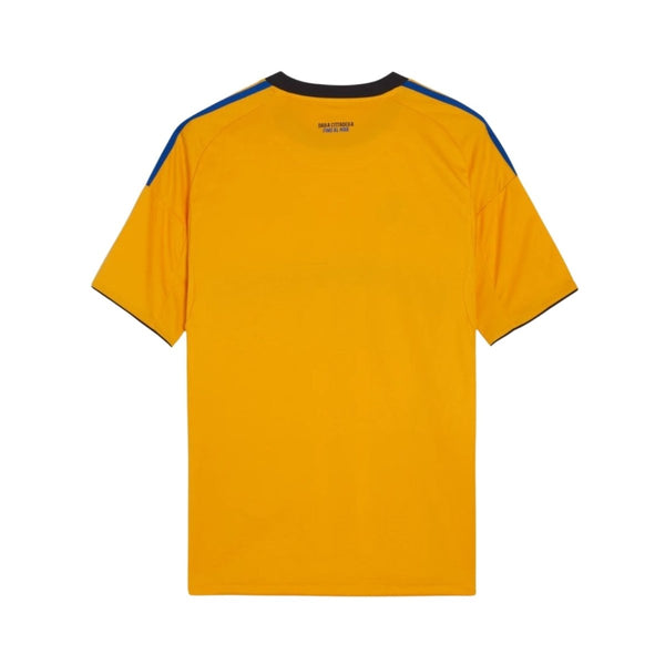 Pisa Alternative 25/26