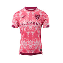 Norwich City F.C. Third 25/26