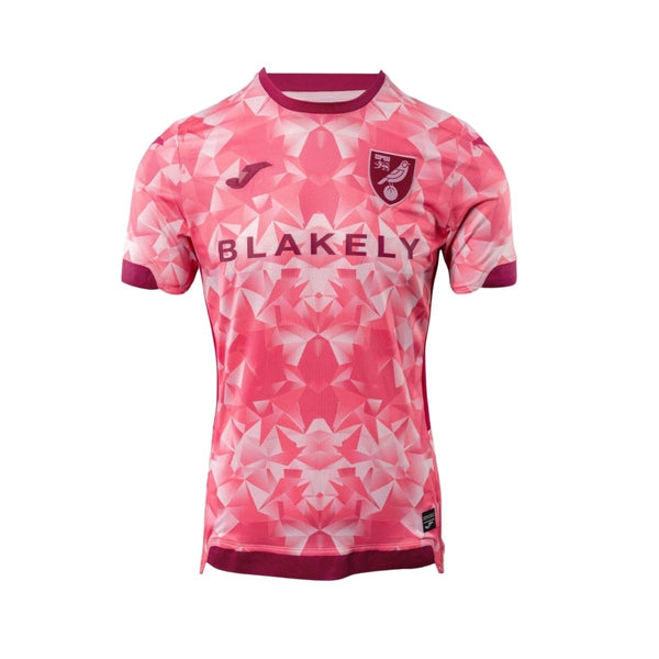 Norwich City F.C. Third 25/26