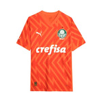 Palmeiras Gardien de But 24/25