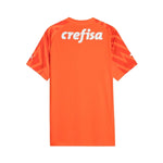 Palmeiras Gardien de But 24/25