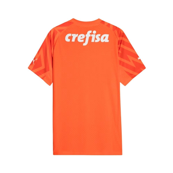 Palmeiras Gardien de But 24/25