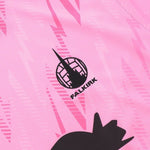 Falkirk Gardien de but 25/26