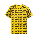 Borussia Dortmund Pré-match 25/26