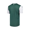 Hibernian Domicile 25/26