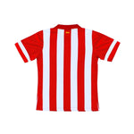 Atletico Madrid Domicile 13/14