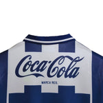 Botafogo Domicile 94/95