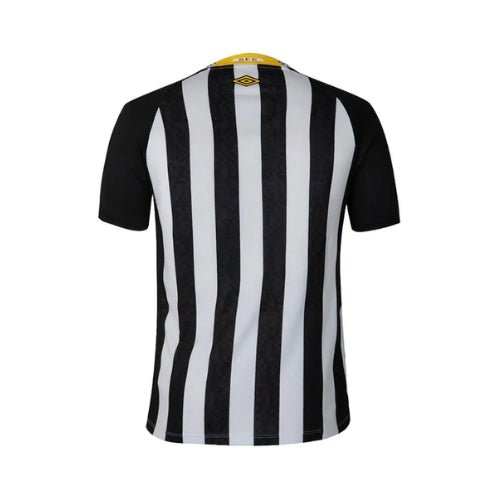 Santos Alternatif 25/26