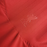 Liverpool Domicile 06/07