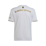 Bayern Munique Alternative 22/23