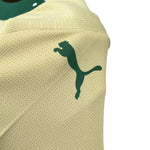 Kit Enfant - Palmeiras Troisième 24/25