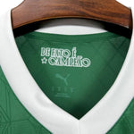 Palmeiras Domicile 25/26