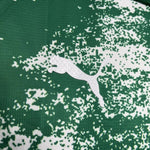 Palmeiras Édition Spéciale 24/25