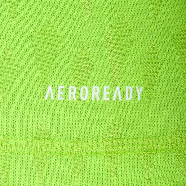 Tigres Gardien de but 24/25