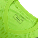 Tigres Gardien de but 24/25