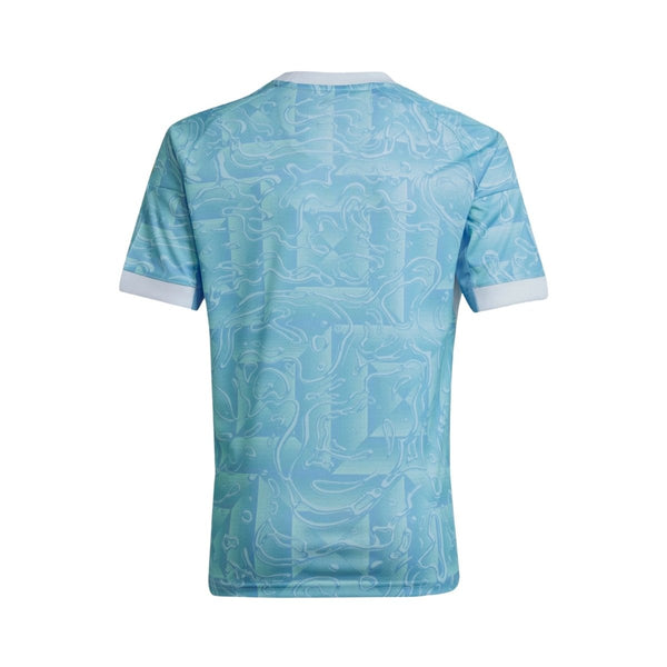 Juventus Alternative 25/26