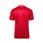 Liverpool Domicile 24/25