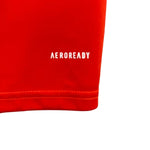 Cruzeiro Entraînement 24/25