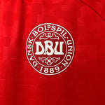 Danemark Domicile 24/25 - Euro 2024